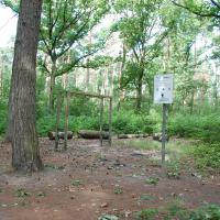 speelbos Voorste Hoeven